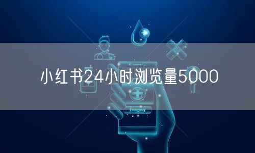 小红书24小时浏览量5000